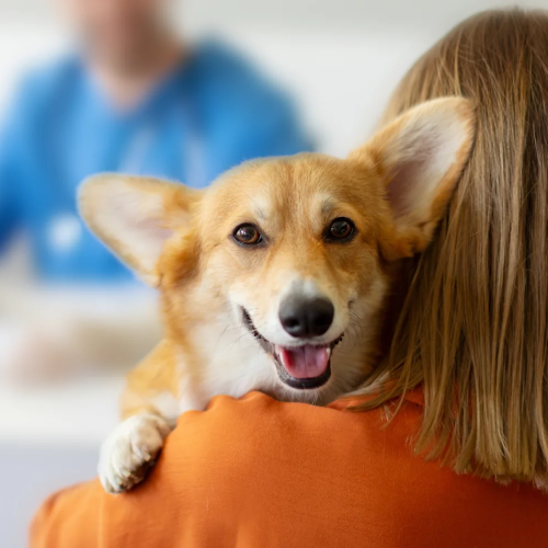 Eri Kani Educ Educateur Canin Aubagne Bien Etre